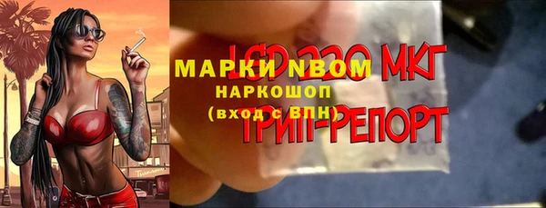 PSILOCYBIN Балабаново