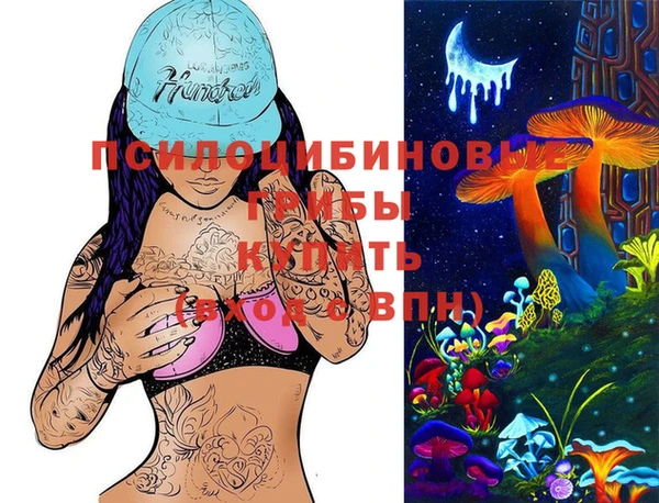 СК Балахна